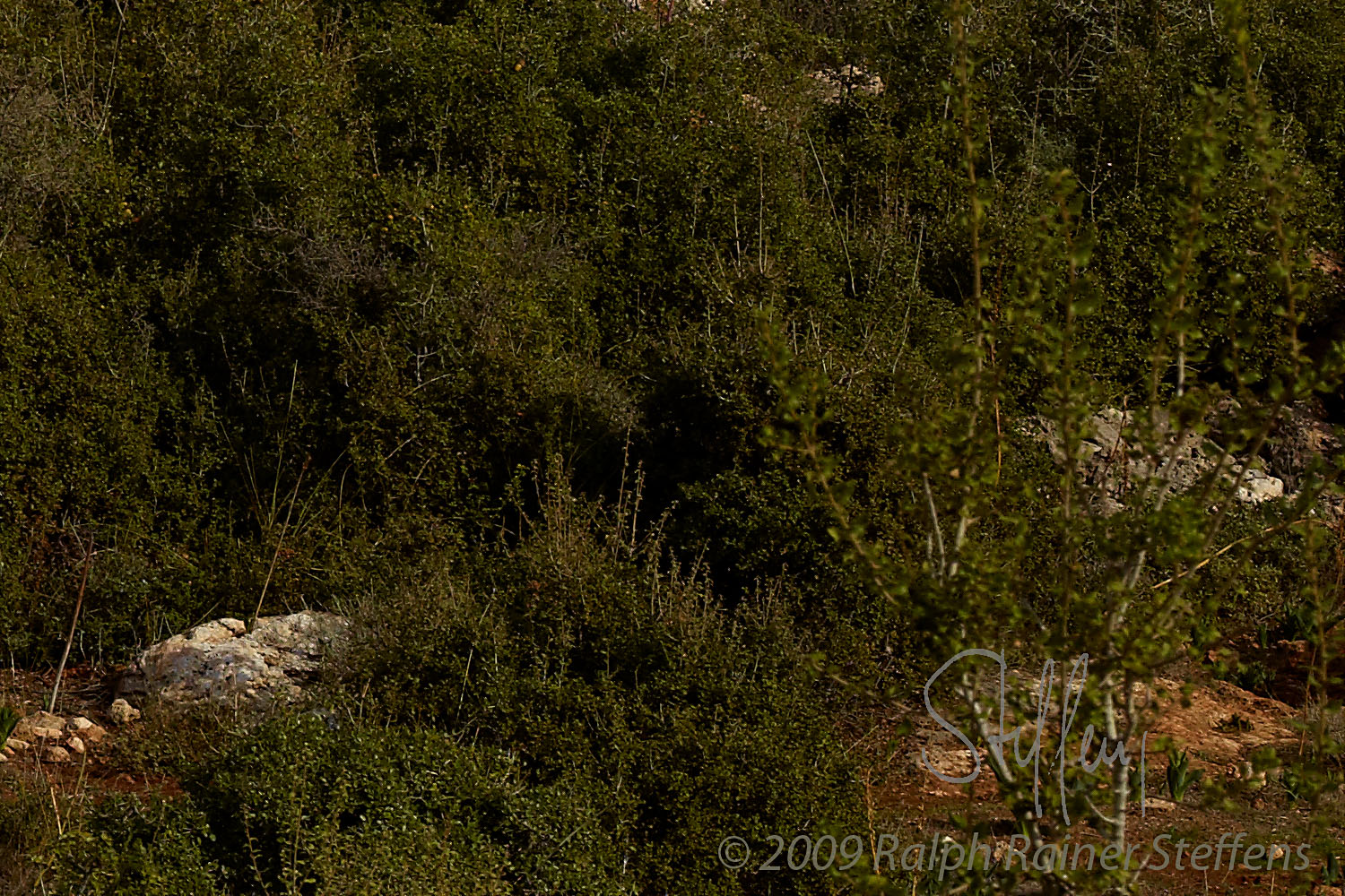 Antalya VIII © Ralph Rainer Steffens