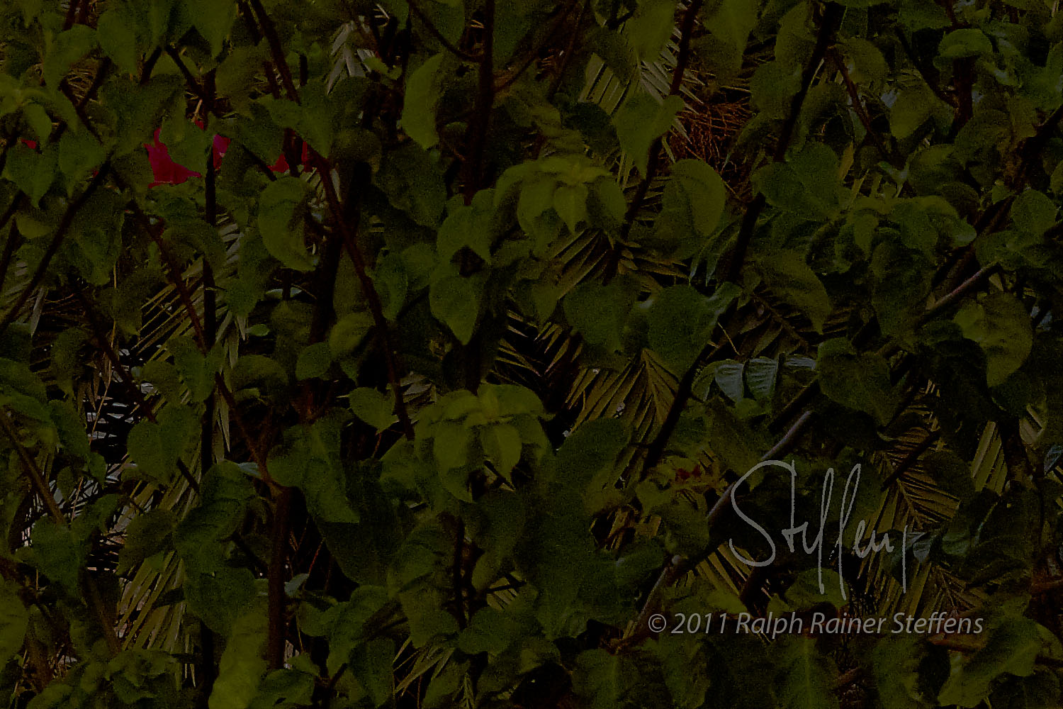 Antalya XV © Ralph Rainer Steffens